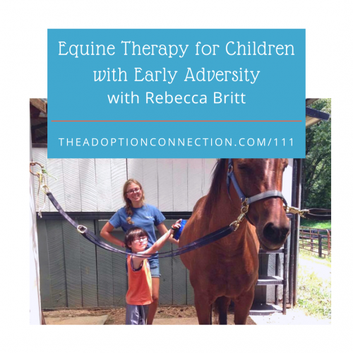 equine therapy